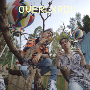 群发宣传册小猴导航
