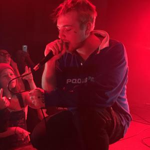 群发宣传册小猴导航
